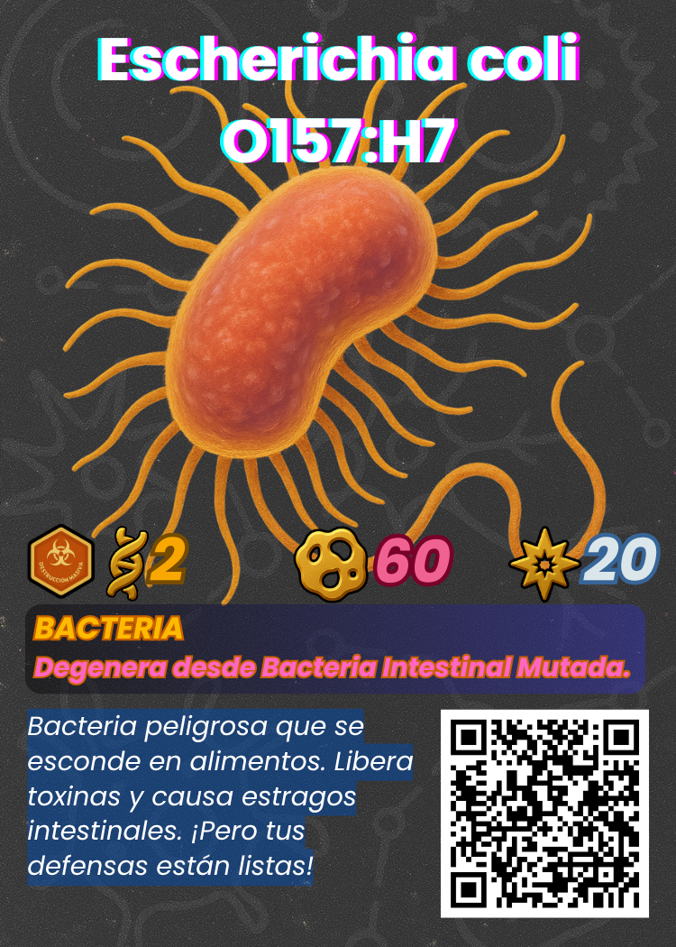 Escherichia coli (E. coli O157:H7)