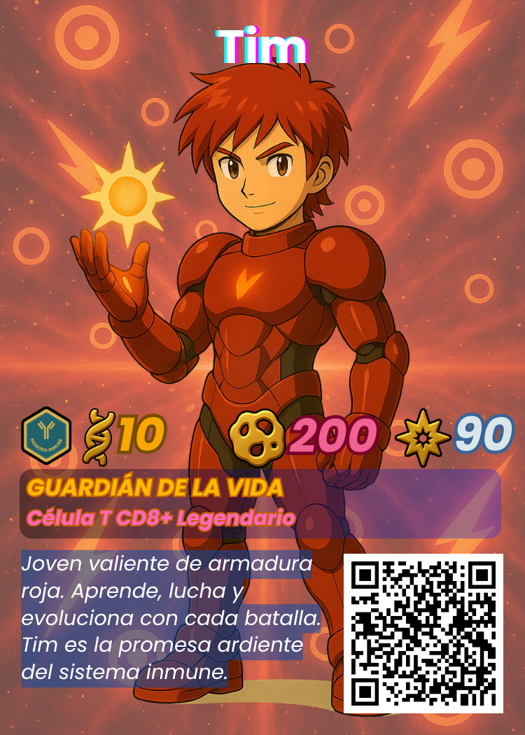 Tim: Linfocito T CD8