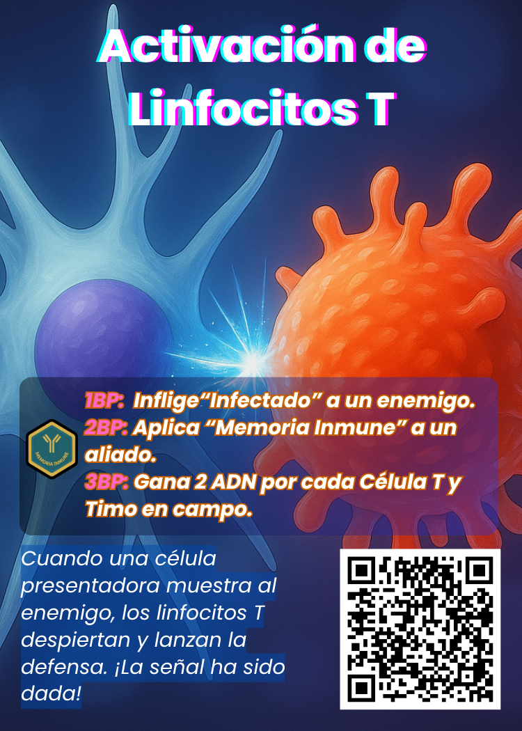 Activación de Linfocitos T